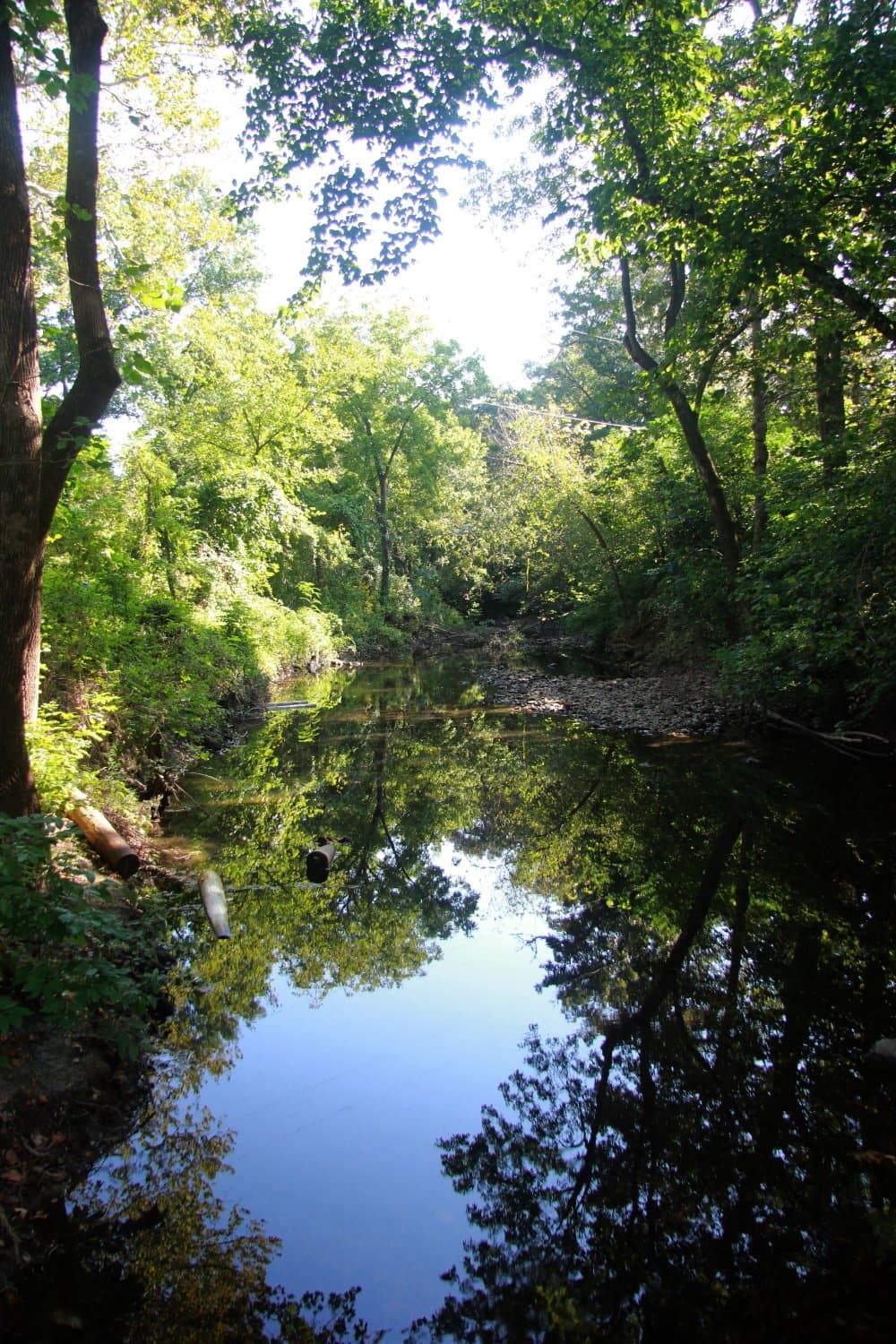Wildcat Glades Conservation and Audubon Center