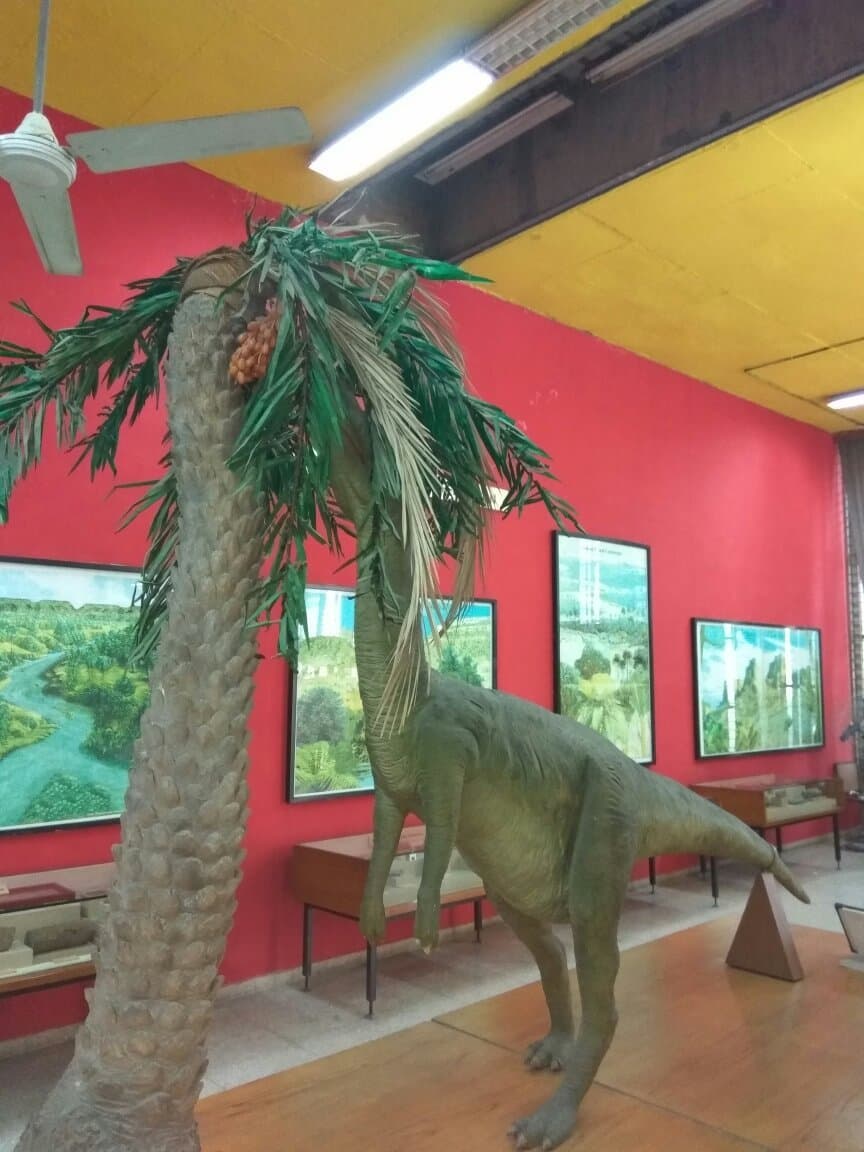 Government Museum and Art Gallery