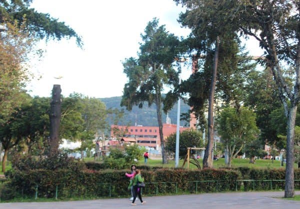 Vista parco
