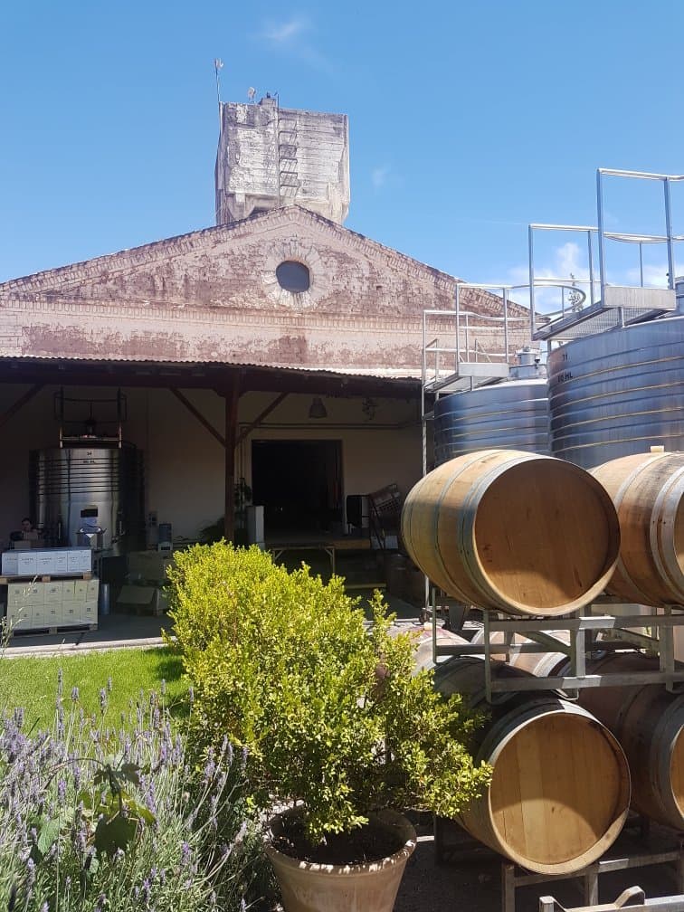 Mendel Wines