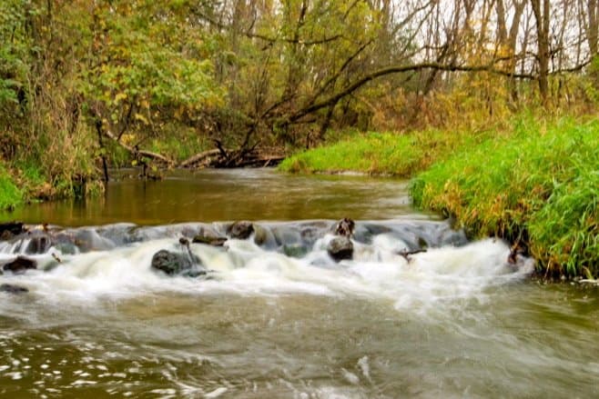 Quarry Hill Nature Center