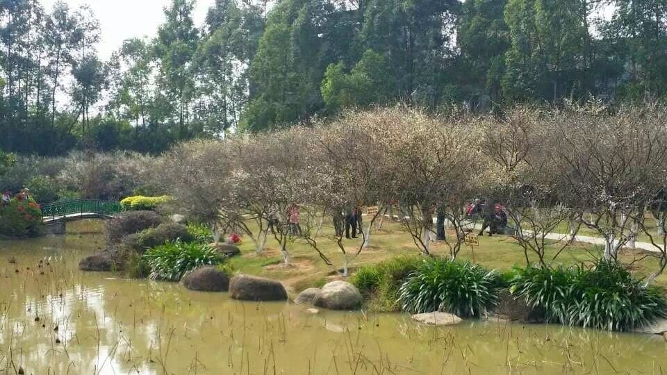 Luogang Xiangxue Park