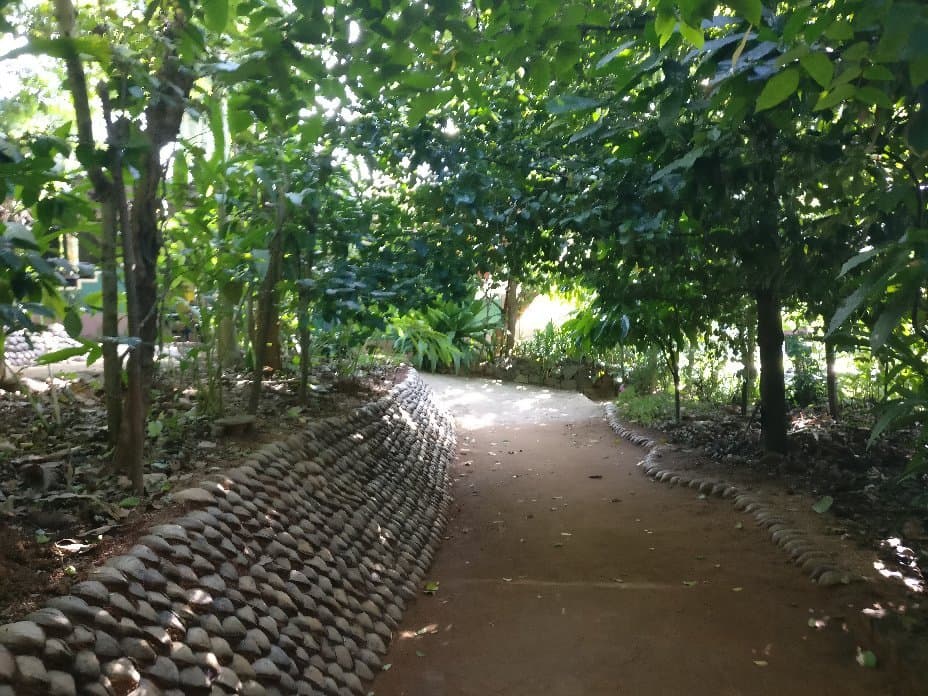 Ranweli Spice Garden