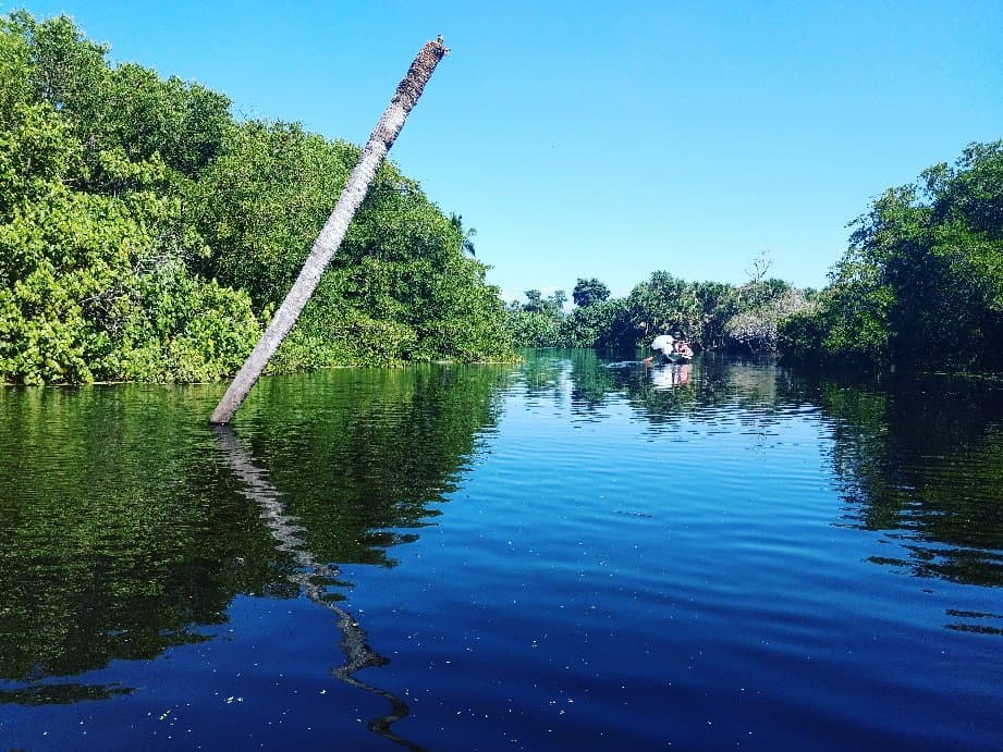 La Ventanilla Mangrove Lagoon