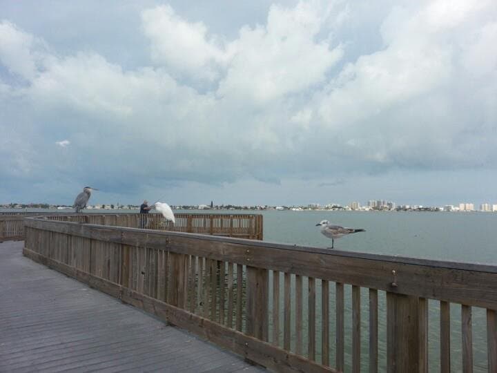 The old Belleair Boat Ramp Pier