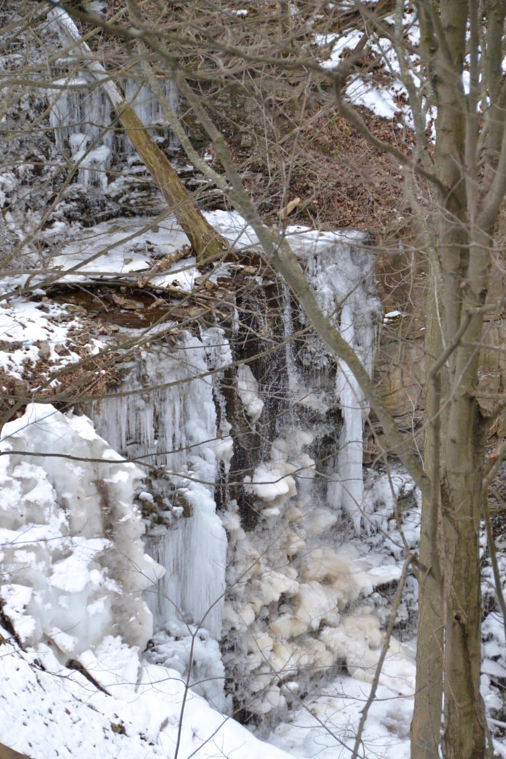 Huge ice crystals at Scenic Falls