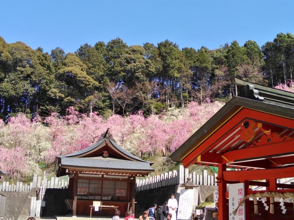 Oagata Shrine