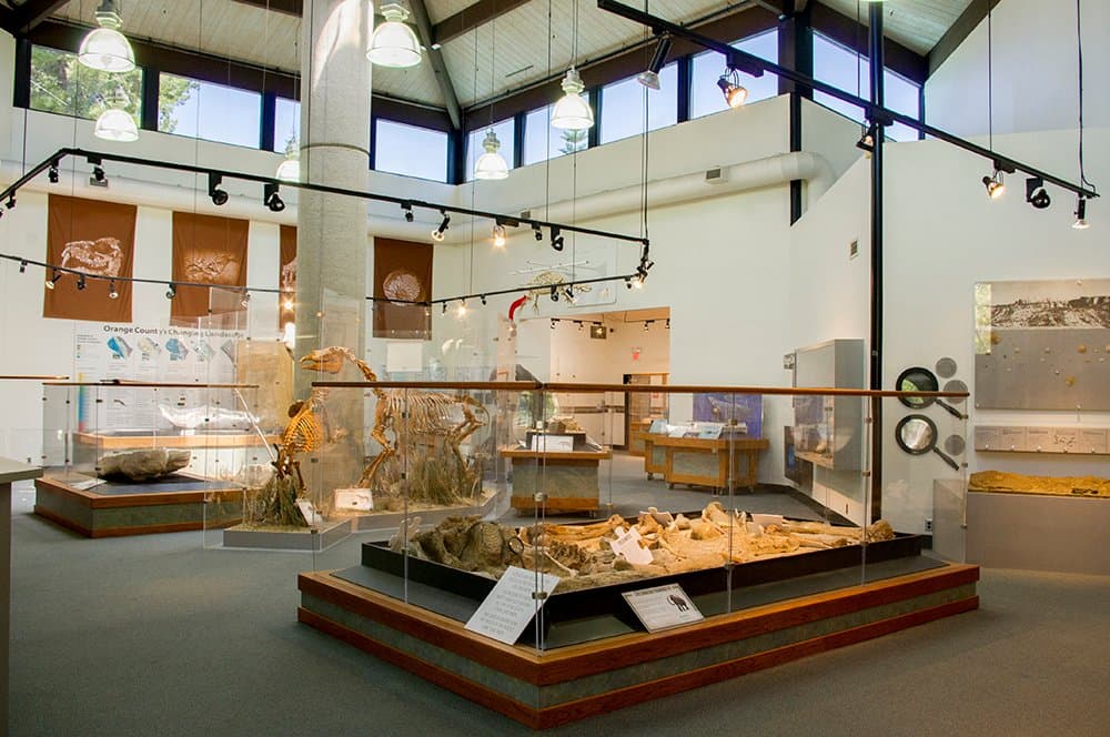 Inside of the Paleontology Museum