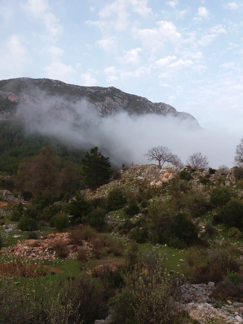 Laertes Ancient City