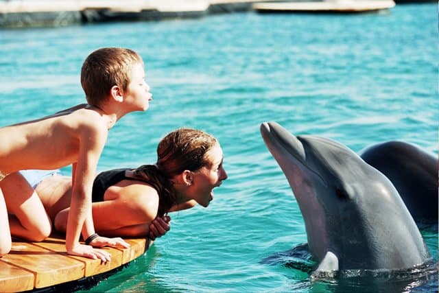 Dolphin Reef Eilat