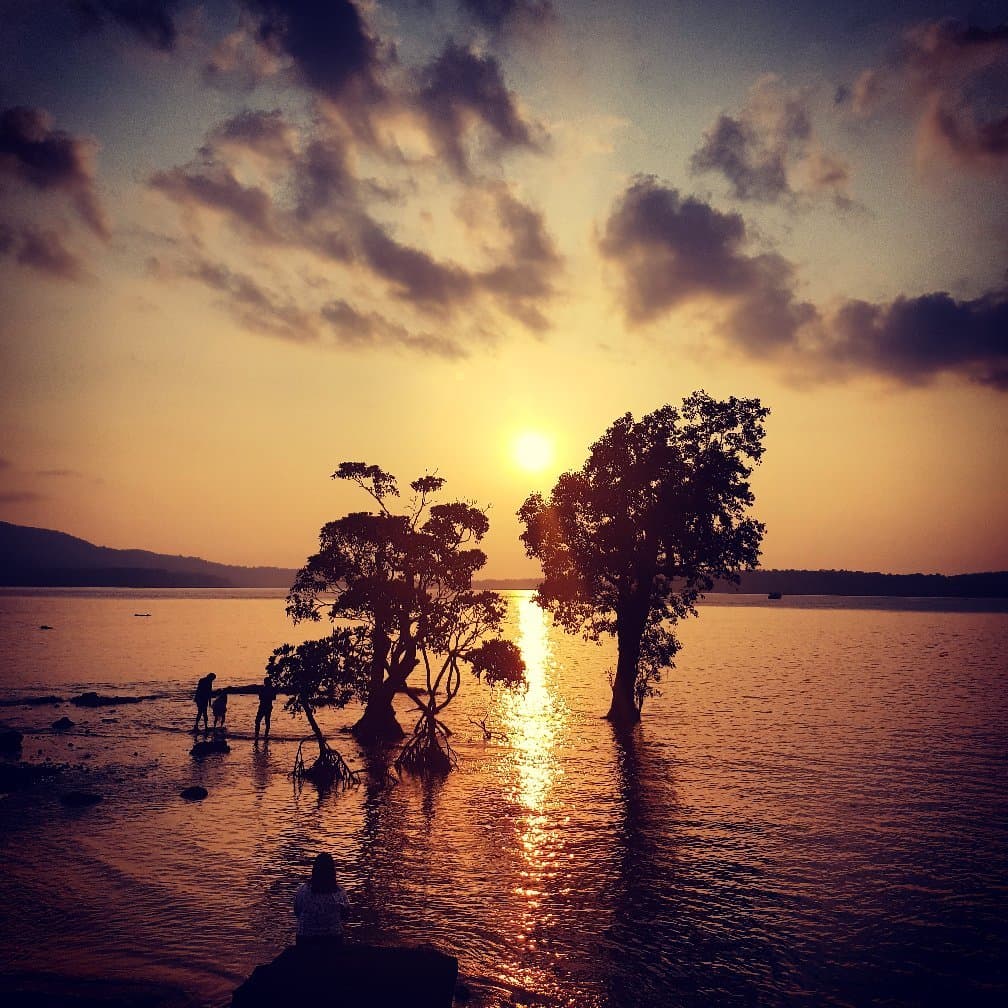 Chidiya Tapu Beach Andaman