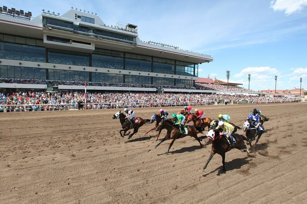 Live racing at Canterbury Park