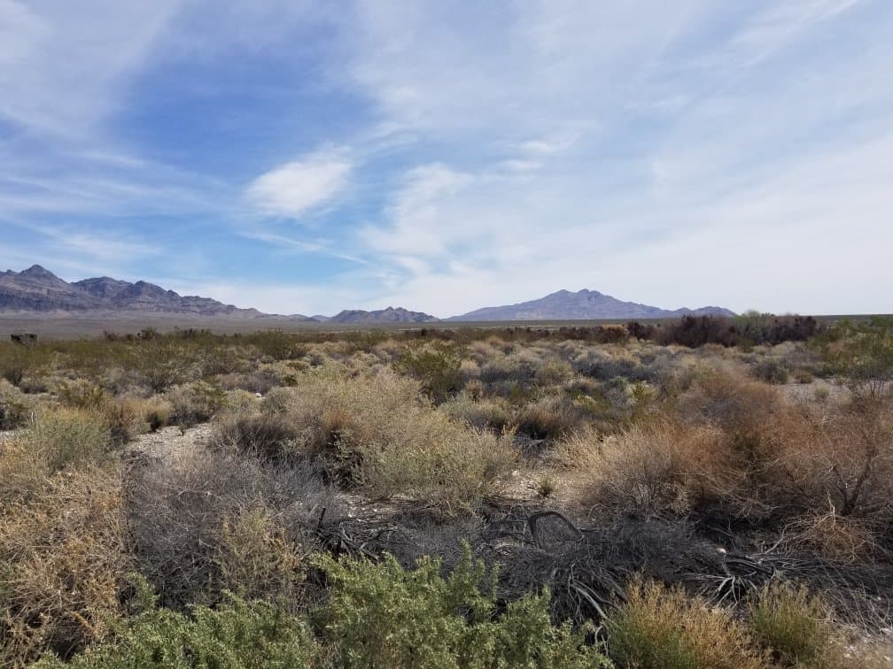 Desert National Wildlife Refuge