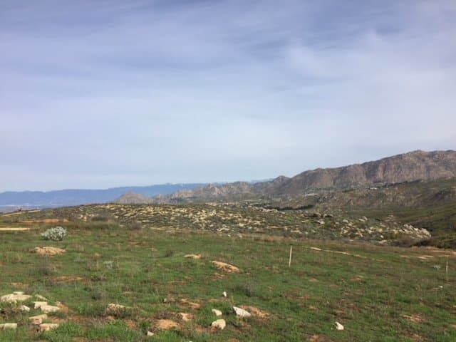 Open Space Areas Up Top