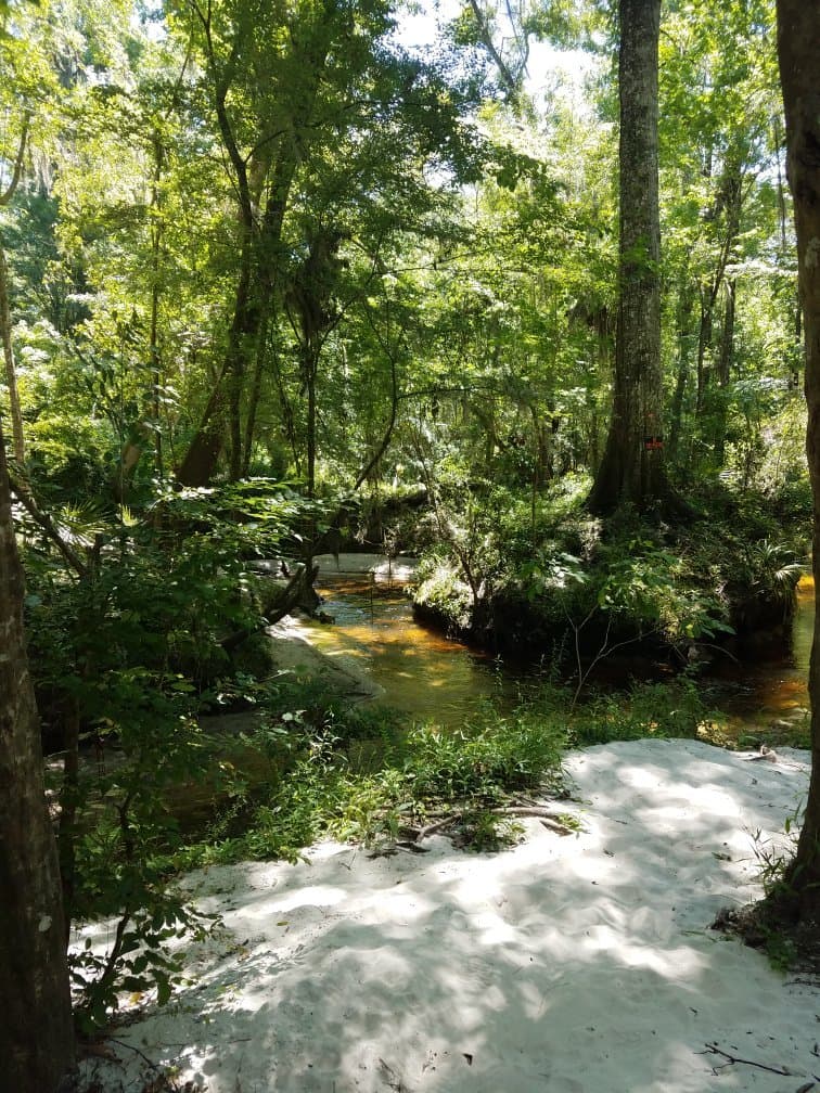 Loblolly Woods Nature Park
