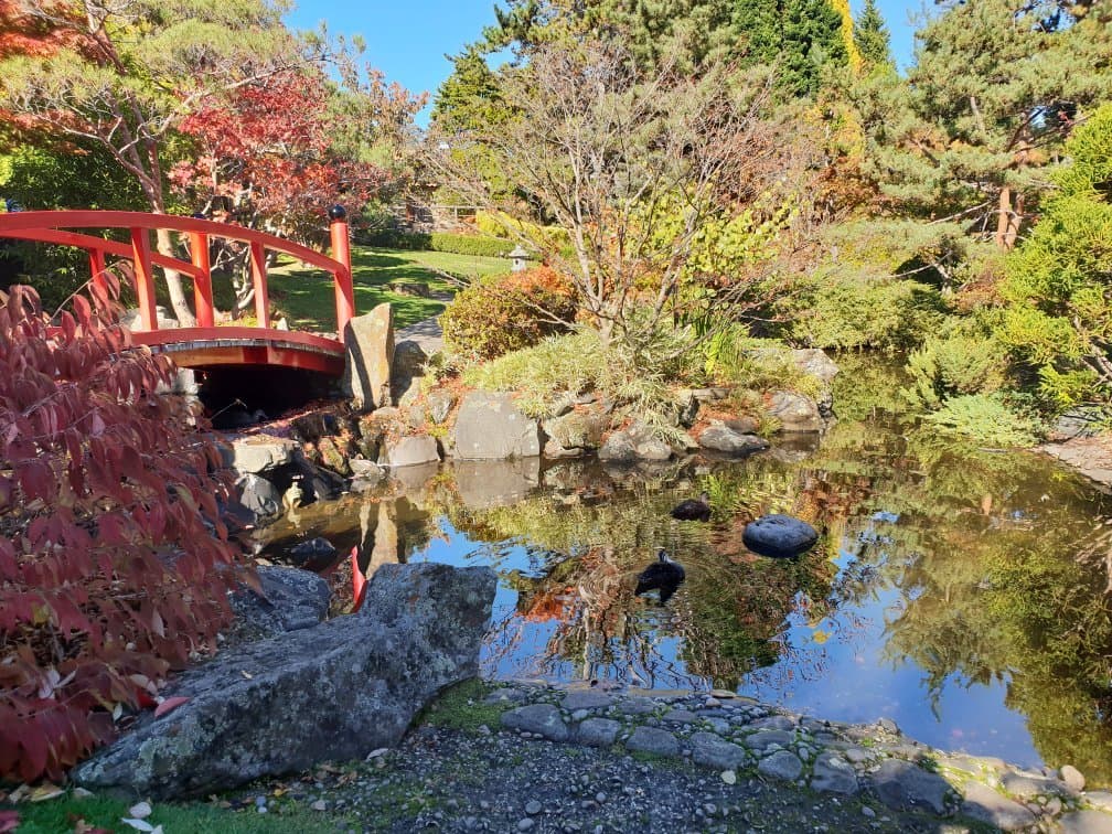 Royal Tasmanian Botanical Gardens