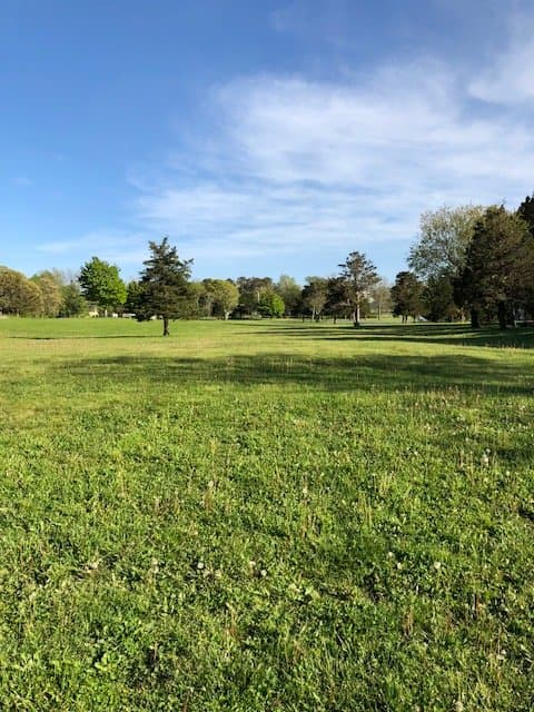 Open space