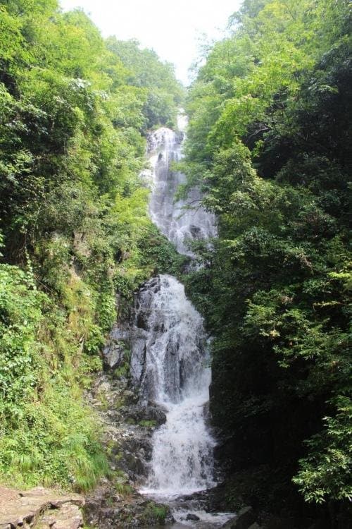 森の中にある常清滝