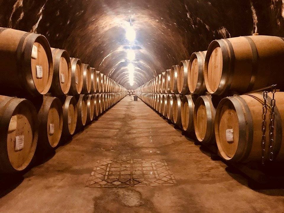 Galerie des fûts sieur d'arques