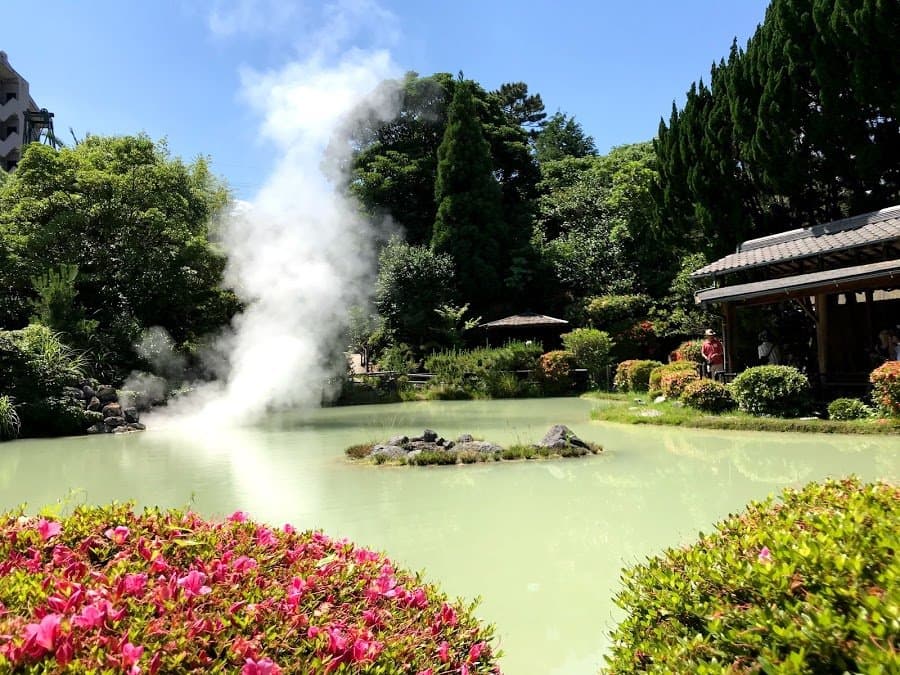 ピラルクを観た後の庭園景色