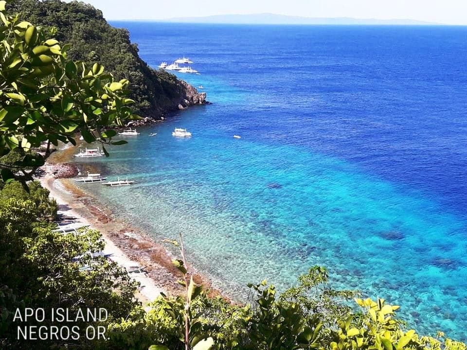Apo Island in Negros Oriental