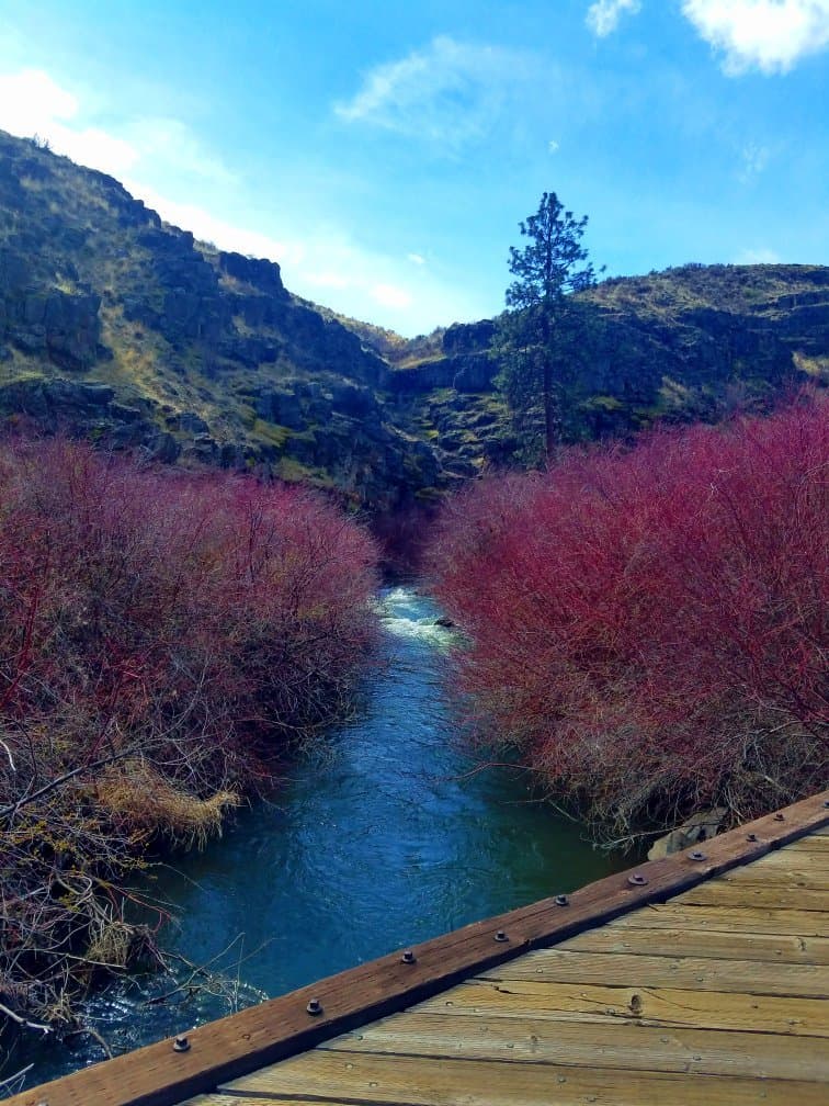 Cowiche Canyon Trail
