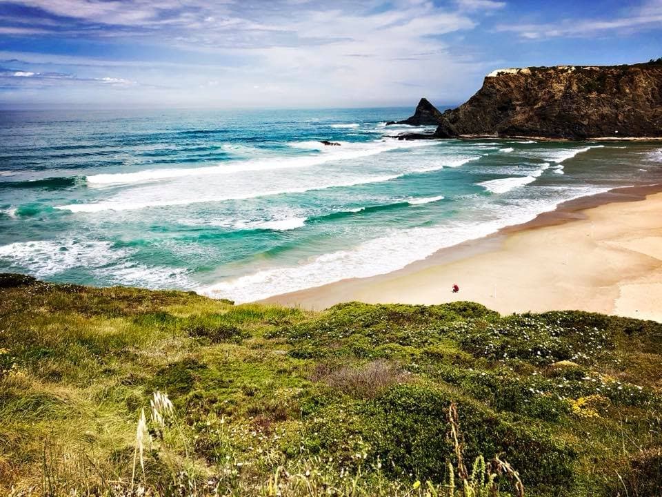 Couldn't you look at this all day?