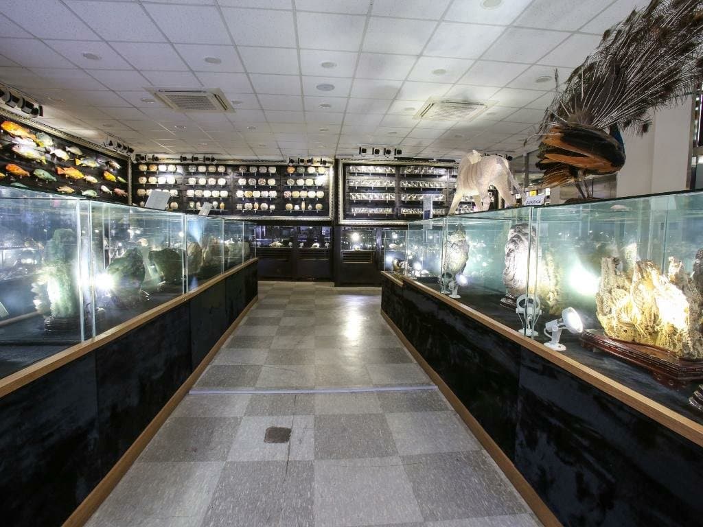 getlstd_property_photo