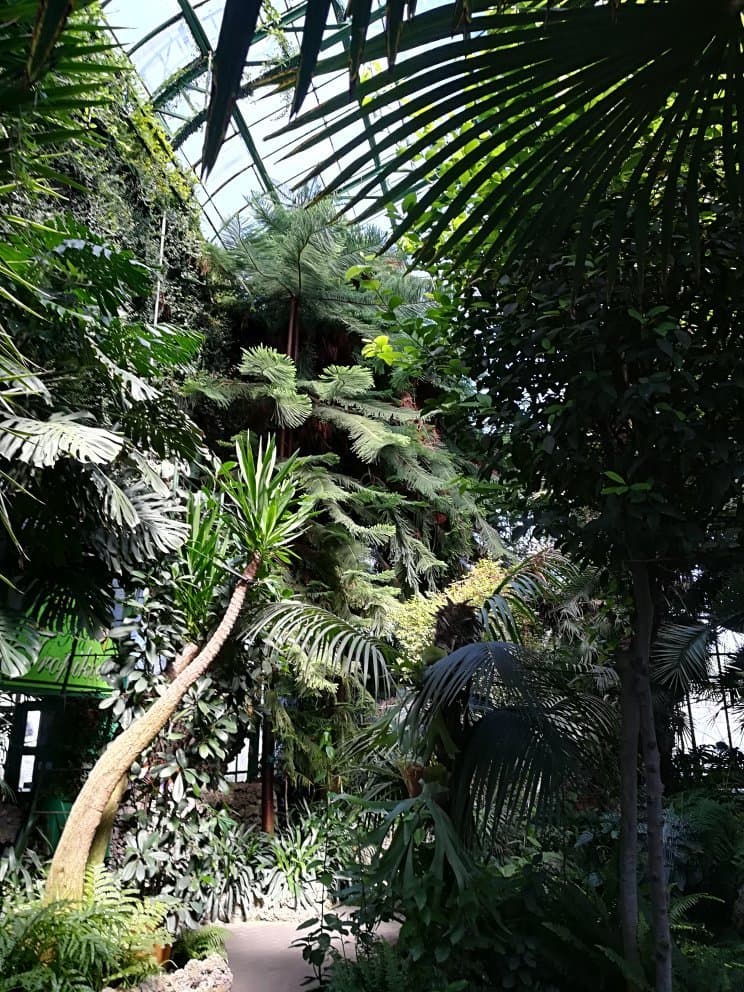 Palm House Wałbrzych