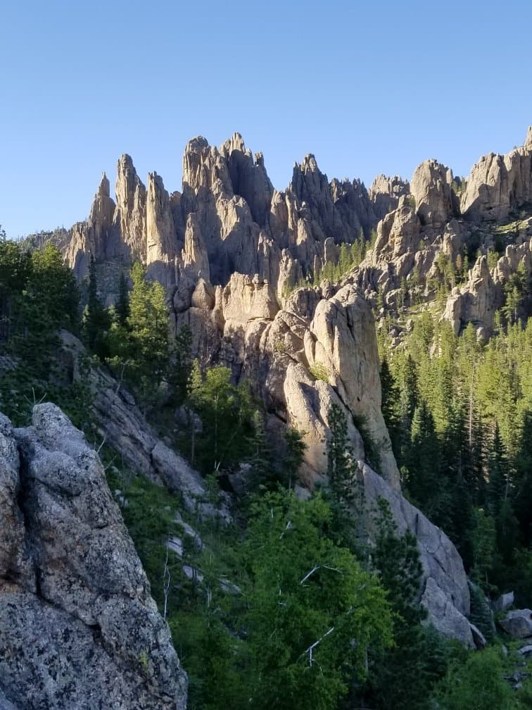 Black Hills National Forest