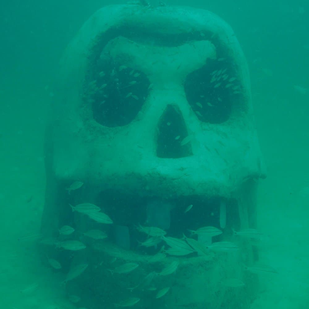 SWARA Skull