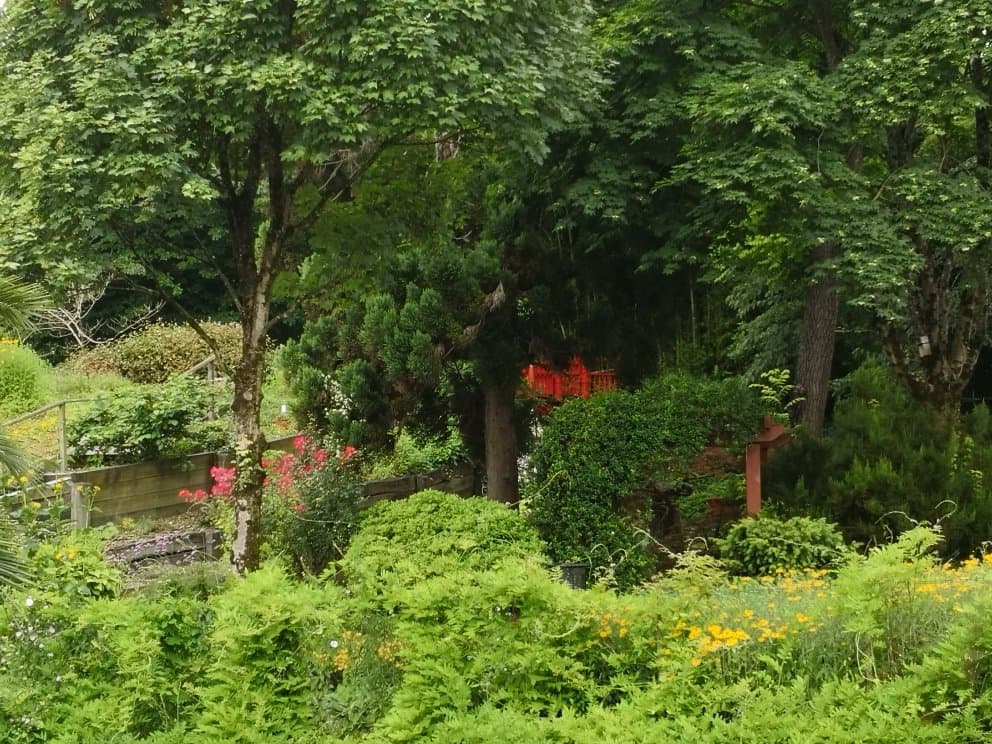 Jardin Botanique