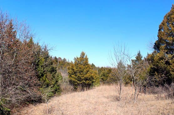 In winter you can walk at noon you will find beautiful landscapes