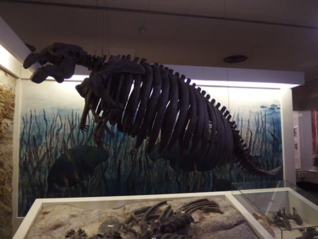 Yamagata Prefectural Museum