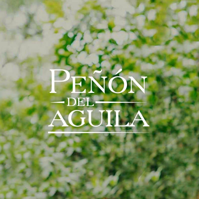 Peñón del Águila