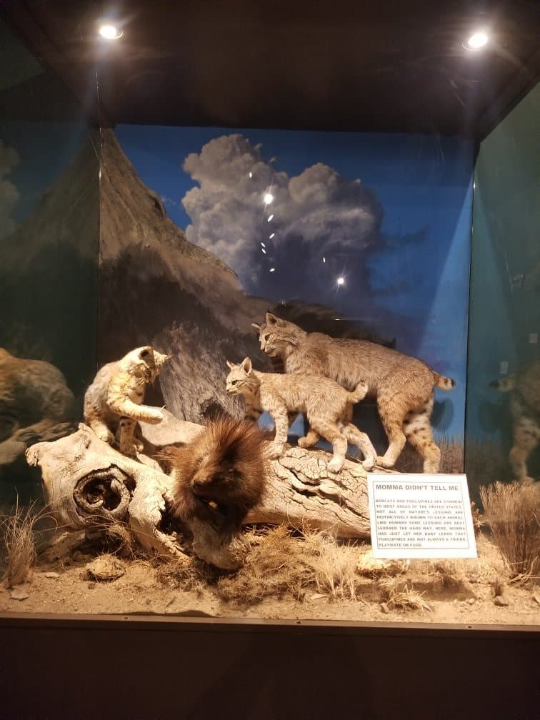 Mann Wildlife Learning Museum