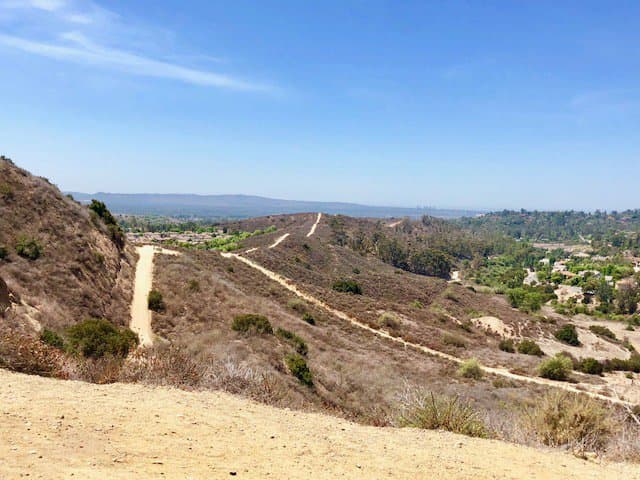 Trail
