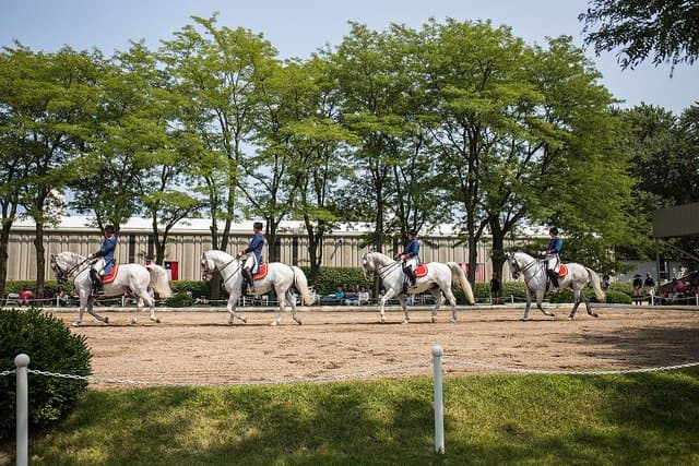 Precision is the order of the day