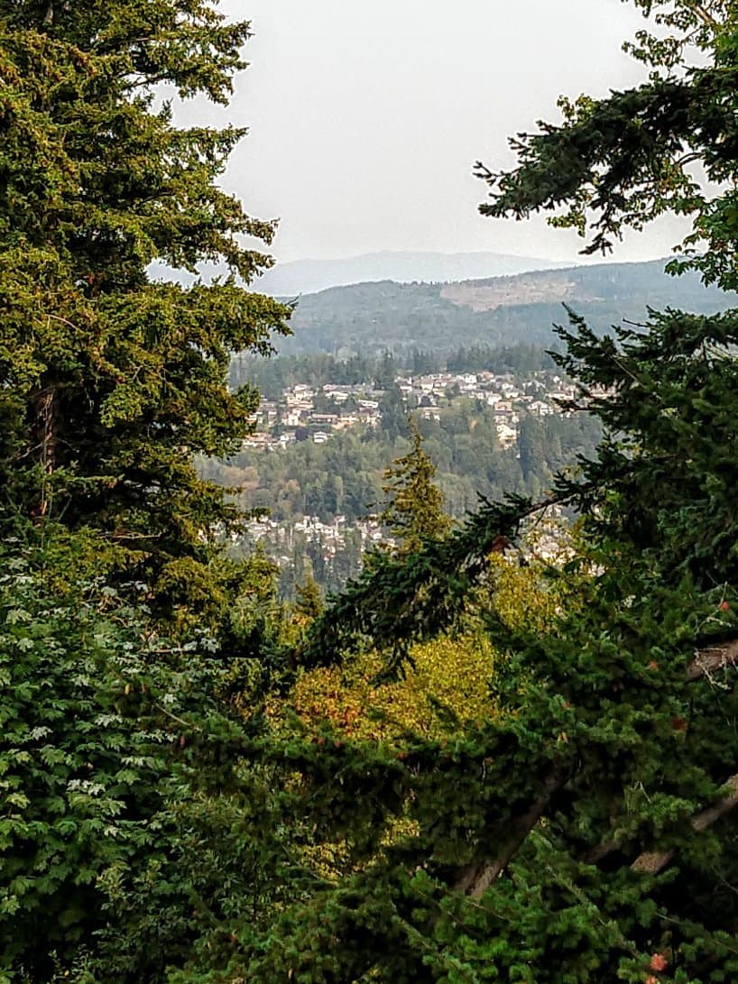 Sehome Hill Arboretum Bellingham