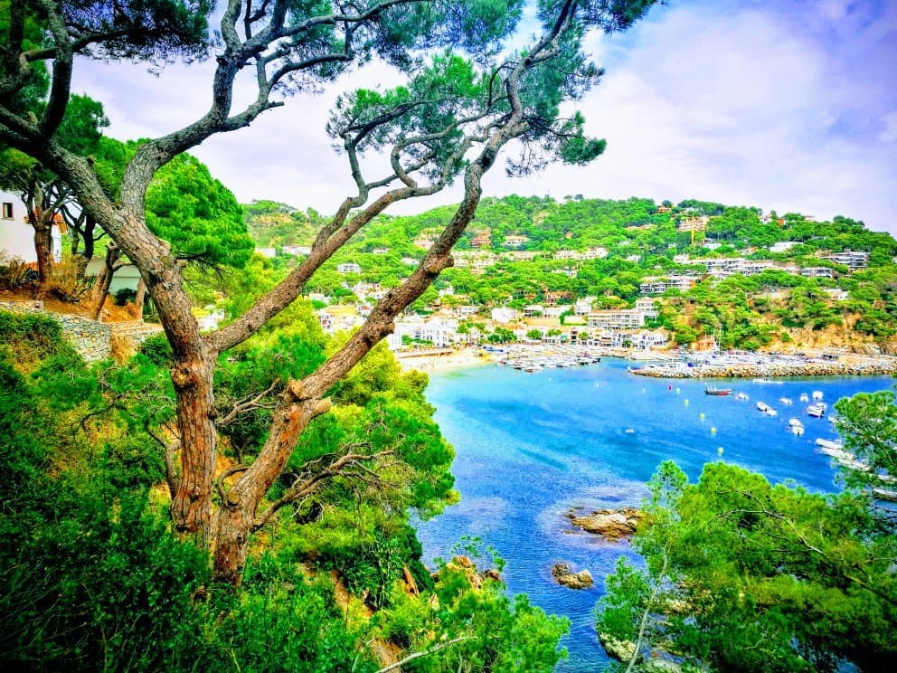 Visit the beaches of Tamariu