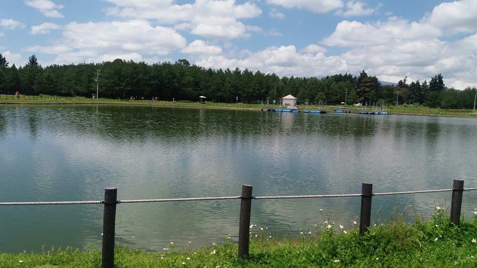 Vista del lago