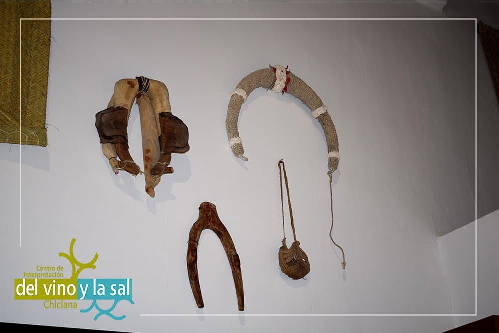 Centro de Interpretación del Vino y la Sal