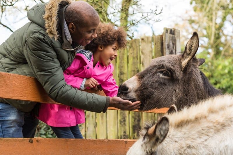 River Hamble Country Park Manor Farm