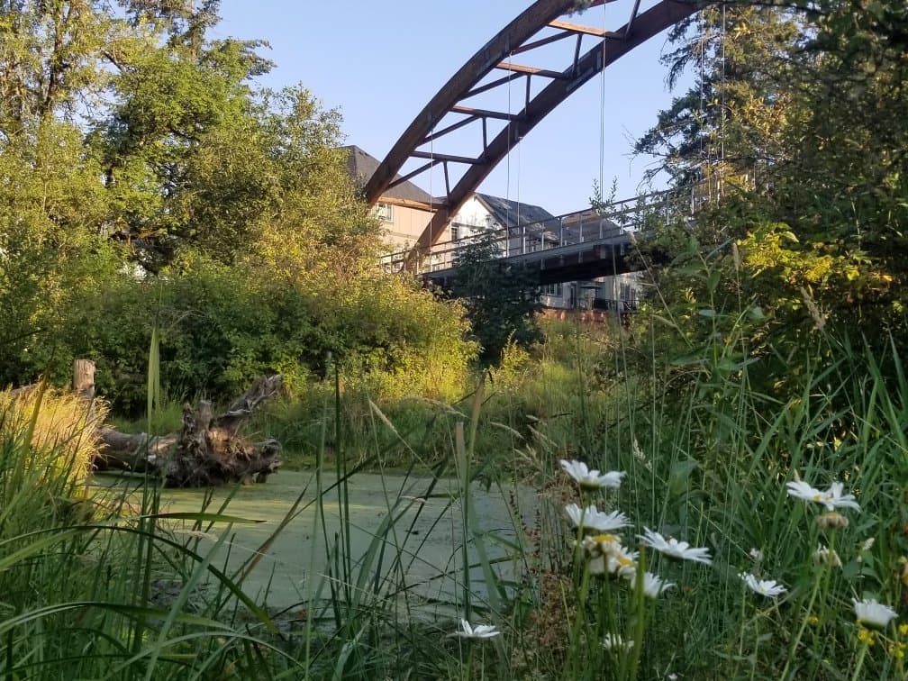 Orenco Woods Nature Park