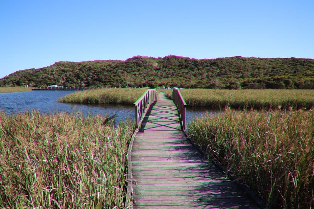 A wooden bridge