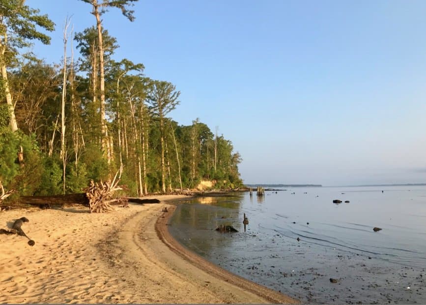 Neuse River Beach area