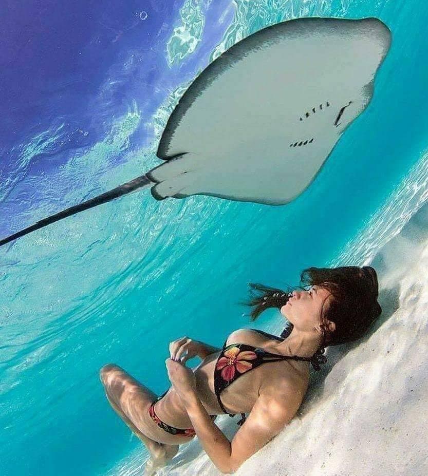 Ride a Camel on the Beach