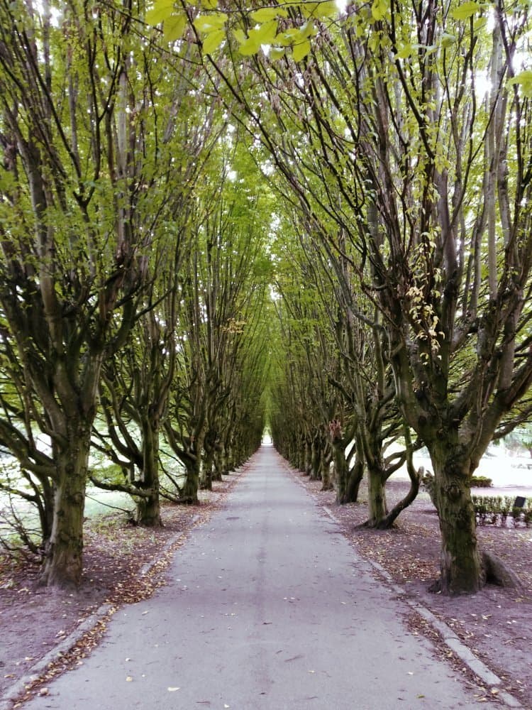 Vestre Cemetery Copenhagen