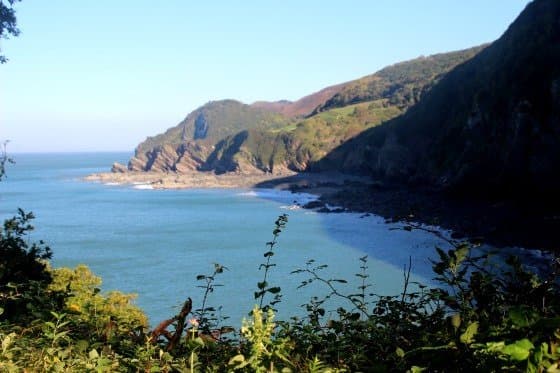 woody bay