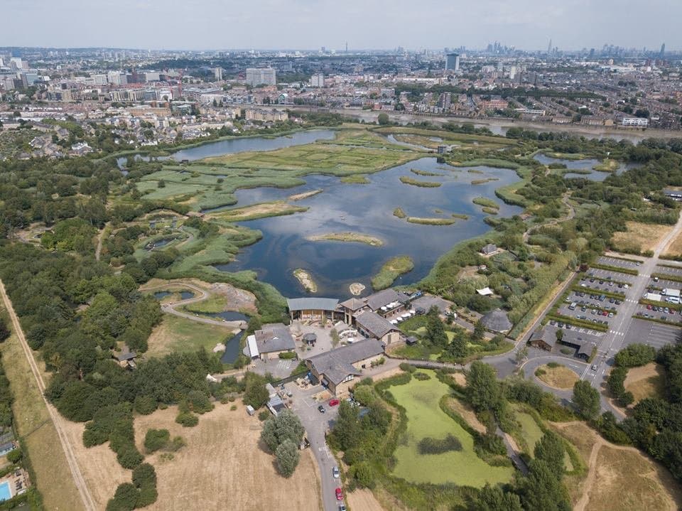 Aerial shot of London Wetland Centre